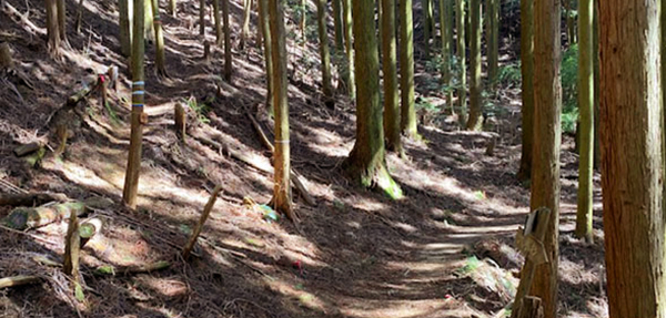 百三十三町石分岐