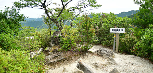 嶽ノ森山・上ノ峰
