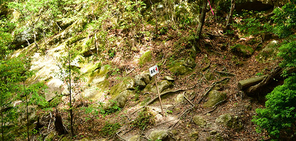 豆腐岩コース分岐