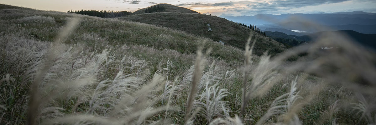 生石高原県立自然公園