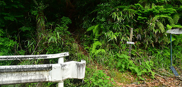 タママツ尾根登山口