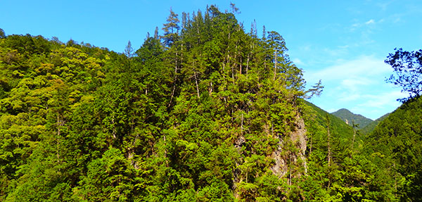 カタマンボ（大塔渓谷）