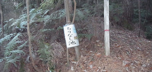 塵無（ちりなし）池分岐